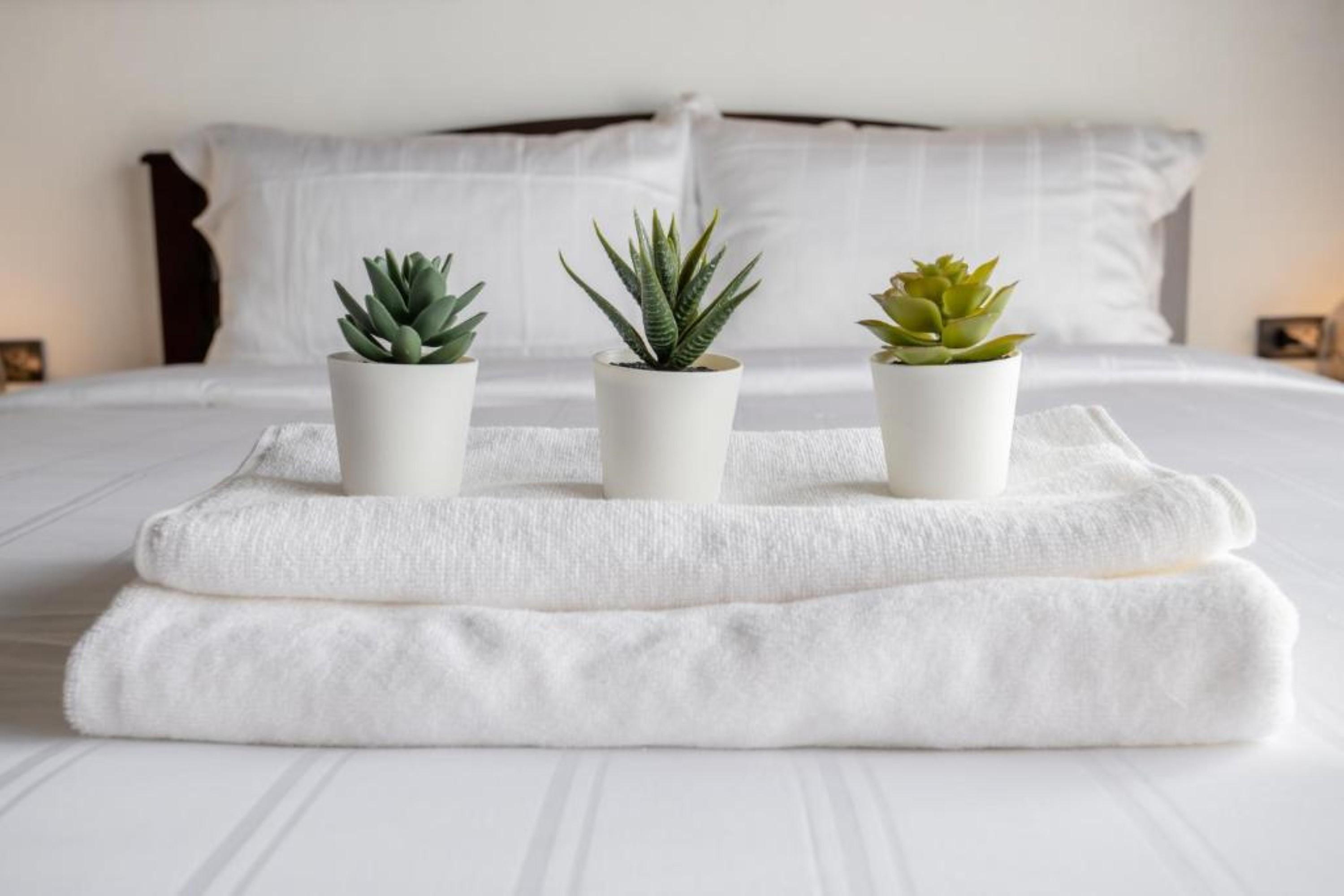 My Loft Hotel Sha Τσιάνγκ Μάι Εξωτερικό φωτογραφία